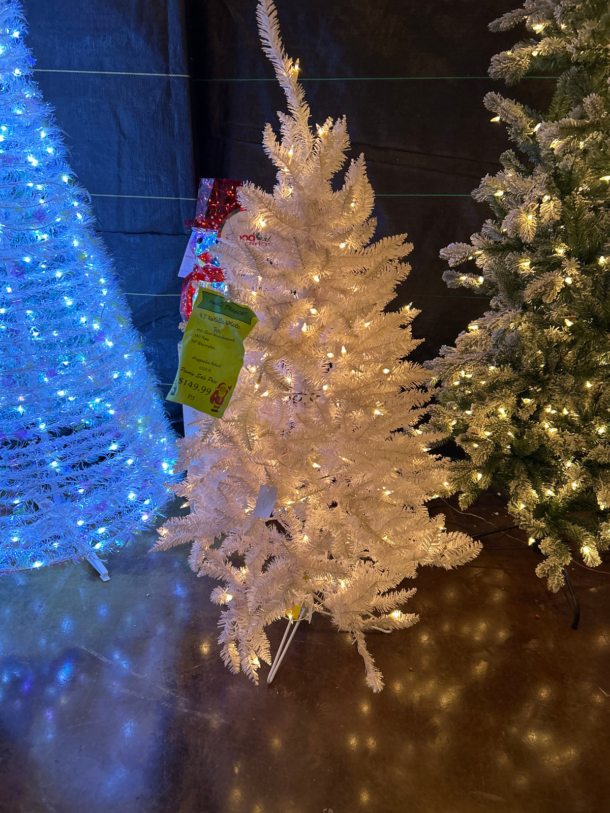 4.5' Katalla White Fir