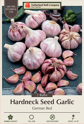 Seed Garlic German Red 2 Count
