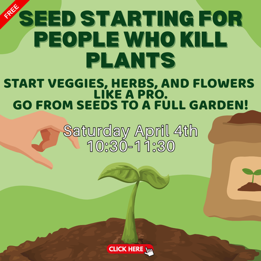 Seed Starting for People Who Kill Plants