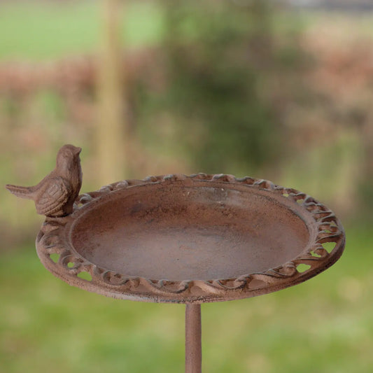 Bird Bath