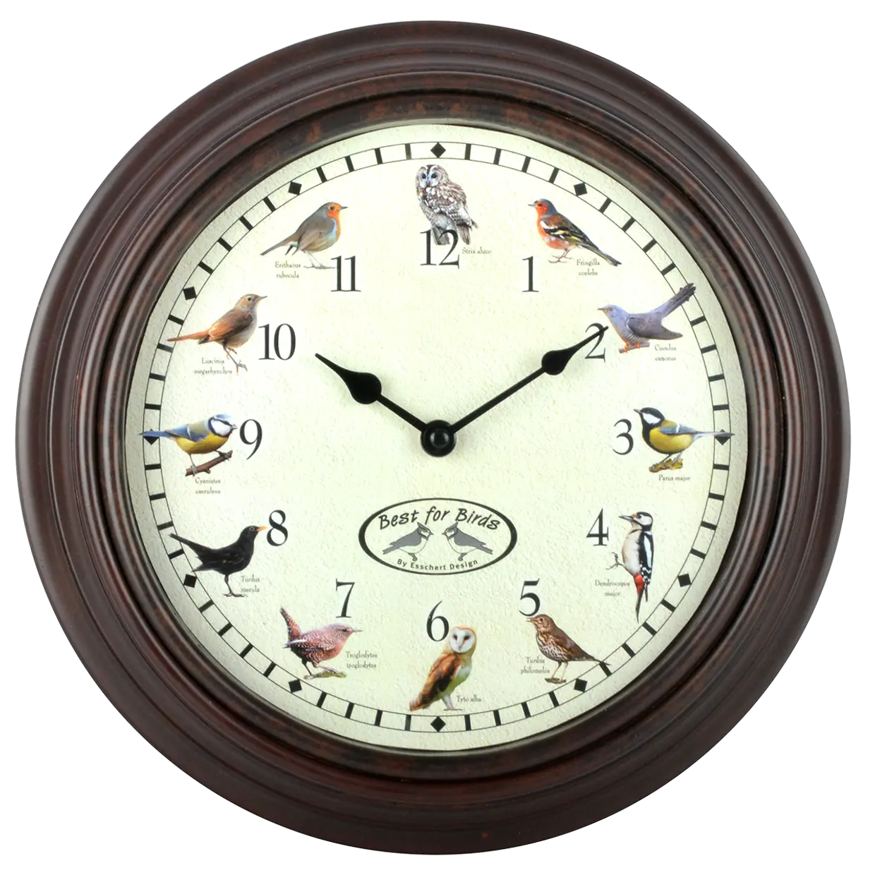 Clock with Bird Sounds