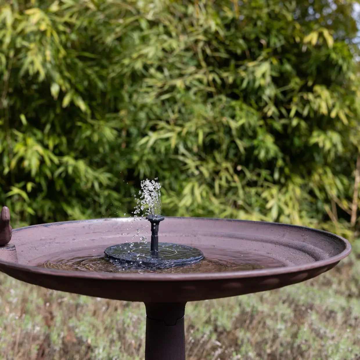 Solar Fountain for Bird Bath