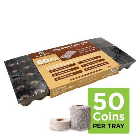 The Coco Coin Tray