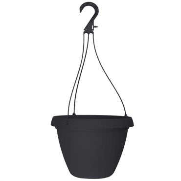 10" Cove Combo Hanging Basket