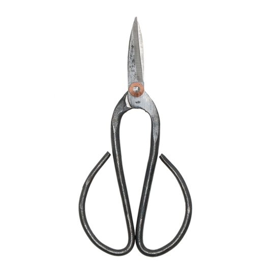 Large Bonsai Secateurs