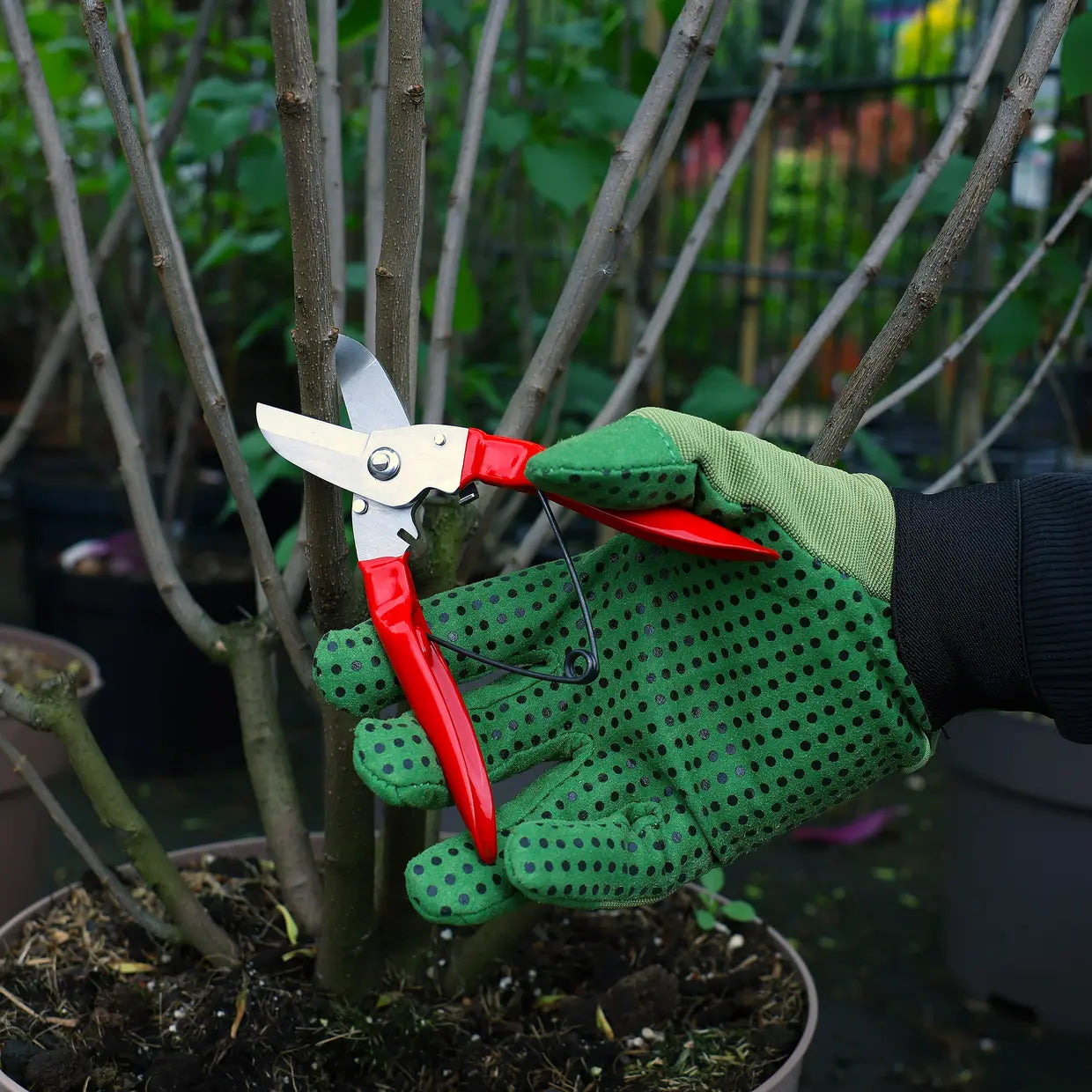 Branch Pruner