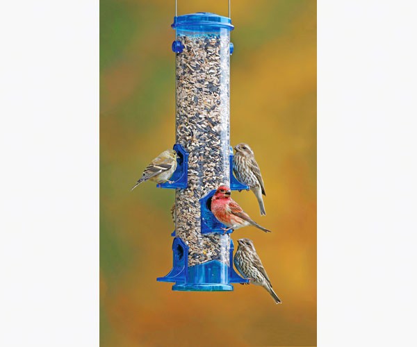 Jumbo Seed Feeder