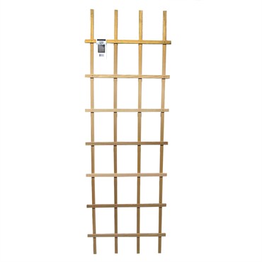 Ladder Trellis