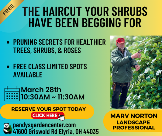 The Haircut Your Shrubs Have Been Begging For - Class