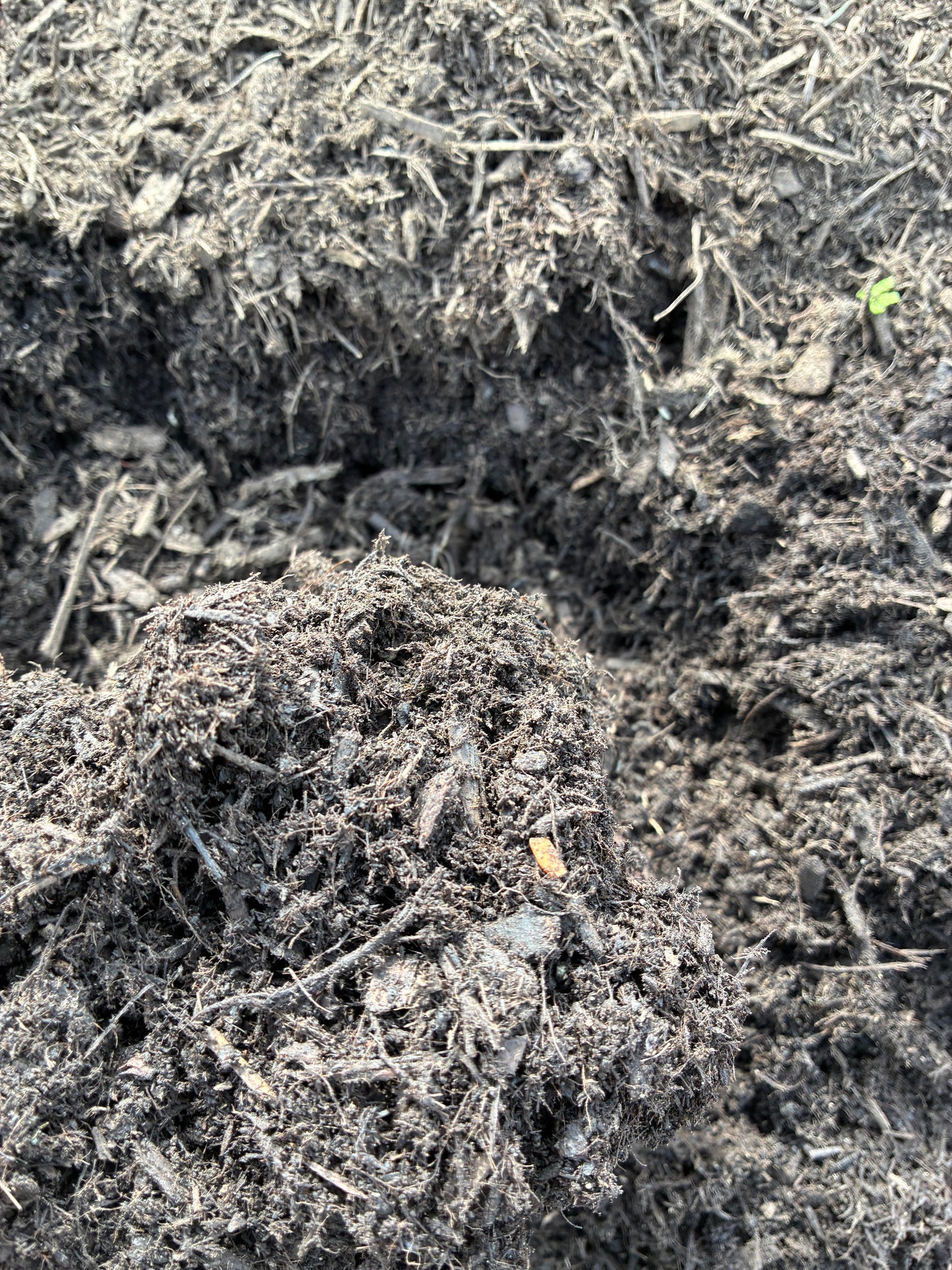 Eco Mulch (Bulk)