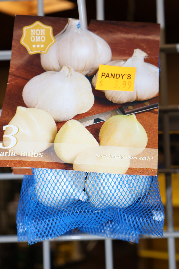 Garlic Bulbs (3)