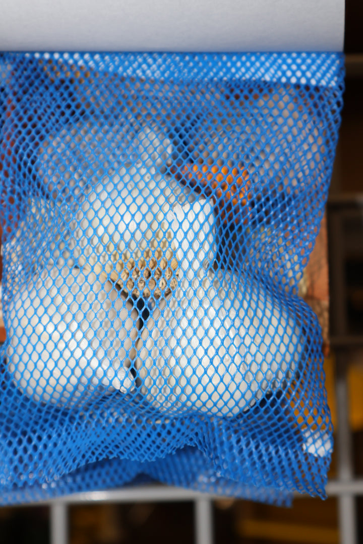 Garlic Bulbs (3)