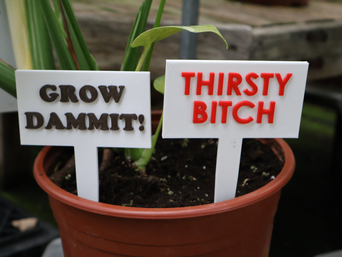 Funny Plant Signs