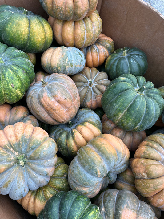 Fairy Pumpkin