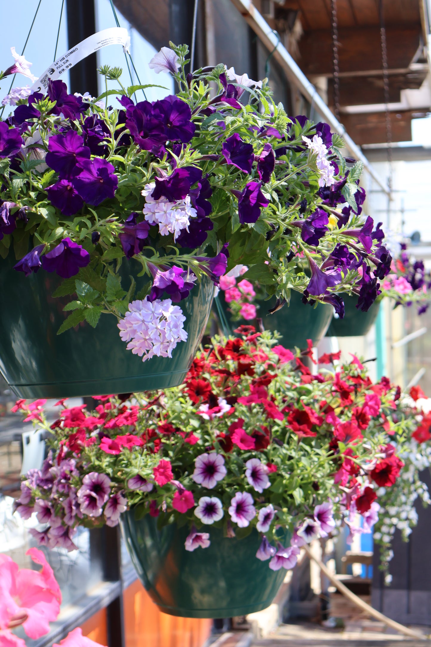 14" COMBO BASKET