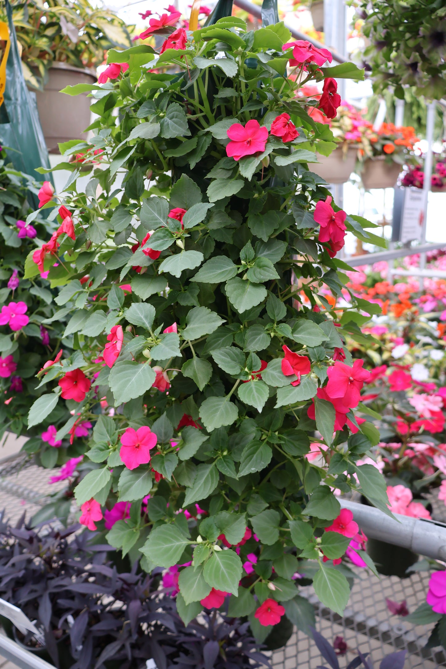 FLOWER POUCH