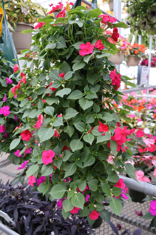 FLOWER POUCH