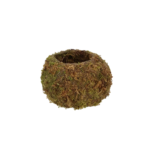 Kokedama Ball Small