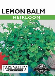 LEMON BALM HEIRLOOM