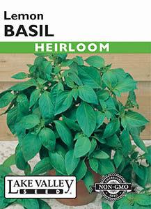 BASIL LEMON  HEIRLOOM