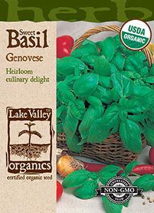 ORGANIC BASIL SWEET GENOVESE  HEIRLOOM