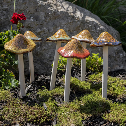 Natural Mushroom