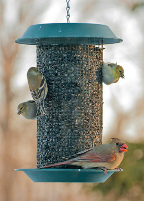 Plastic Magnum Sunflower Feeder