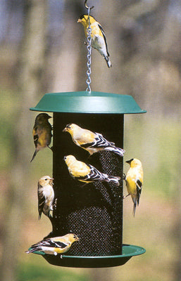 Plastic Magnum Thistle Feeder