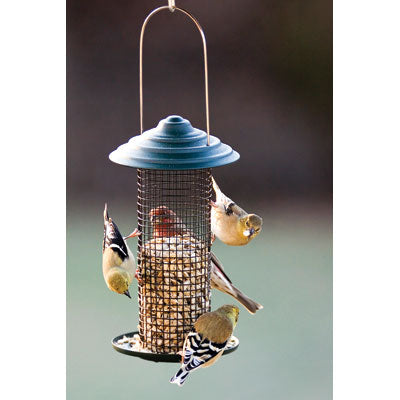 Metal Mini Magnum Black Oil Sunflower Screen Feeder
