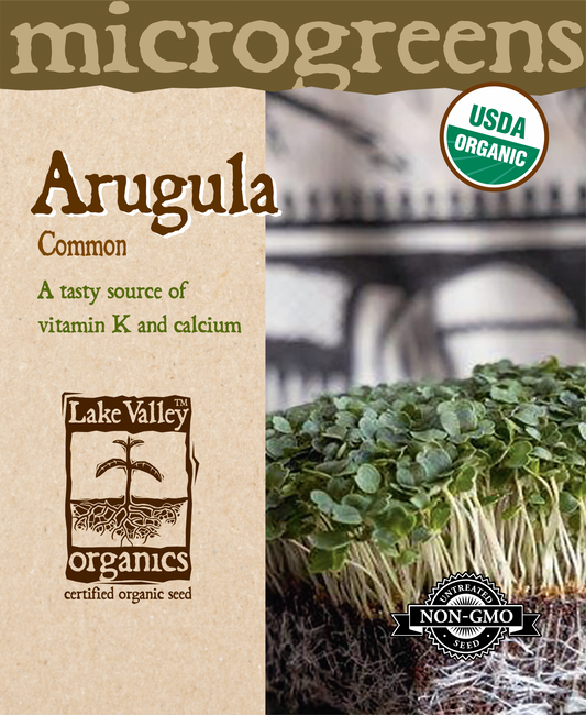 MICROGREEN - ARUGULA ROCKET