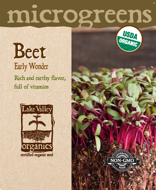 MICROGREEN - BEET EARLY WONDER