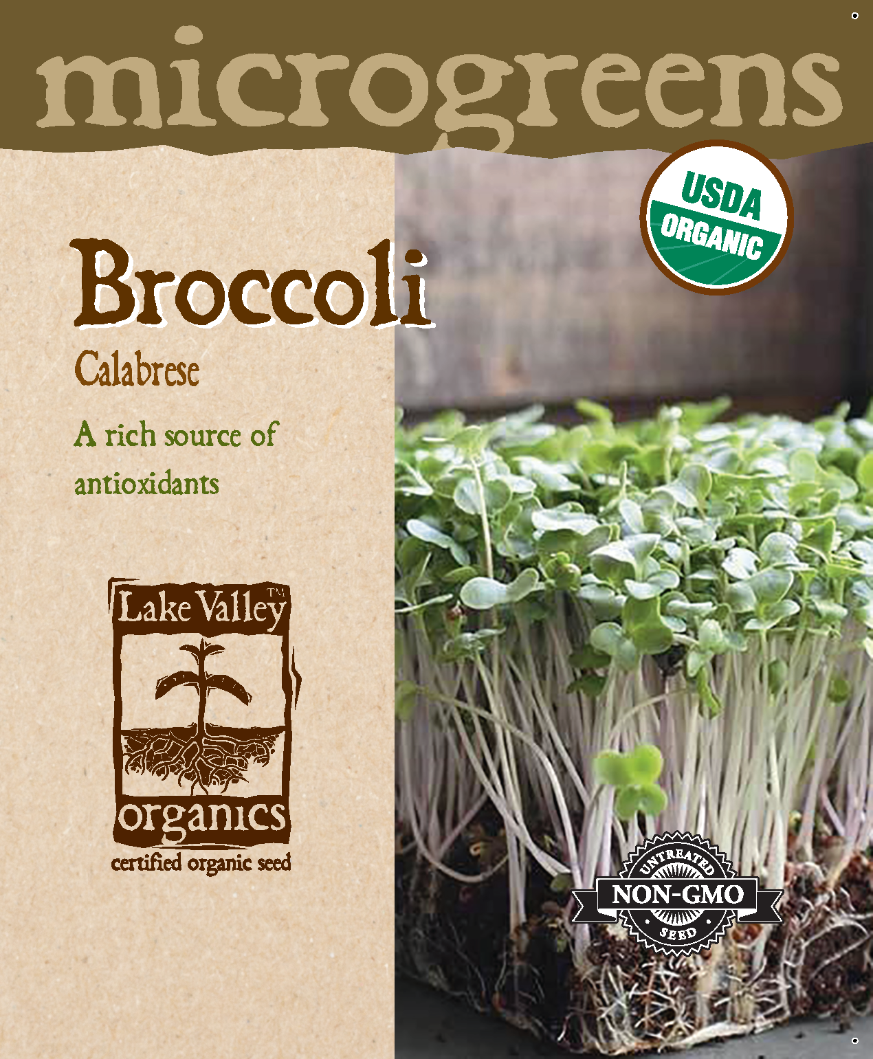 MICROGREEN - BROCCOLI