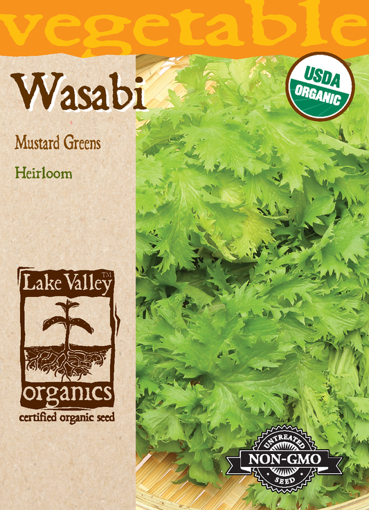 ORGANIC WASABI MUSTARD GREENS