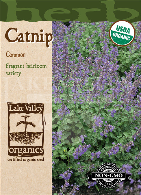 ORGANIC CATNIP COMMON HEIRLOOM
