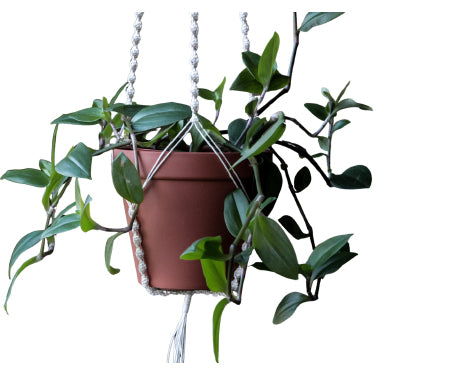 40" Twisted Woven Hanger