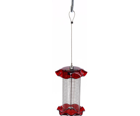 Forever Sunflower Feeder Small