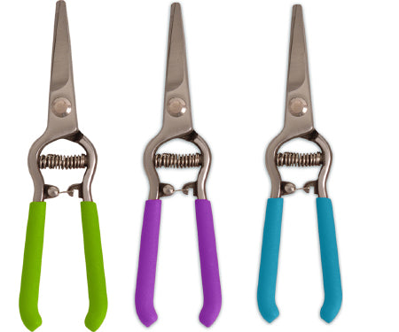 Floral Shear 8" Df Splash