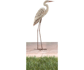 Standing Large Egret