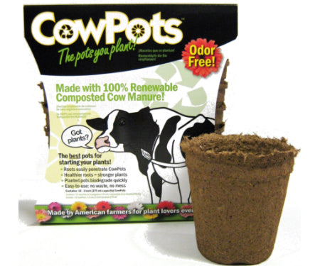 Cow Pots - Round