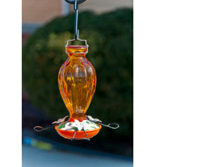 Fluted Glass Oriole Feeder