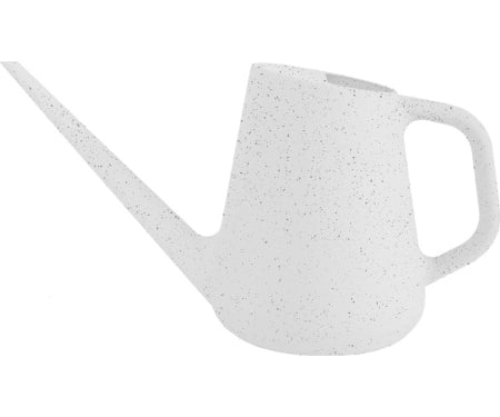Watering Can Fern Vanilla Bean