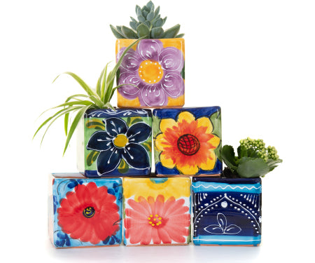 5.5" Cube Pots