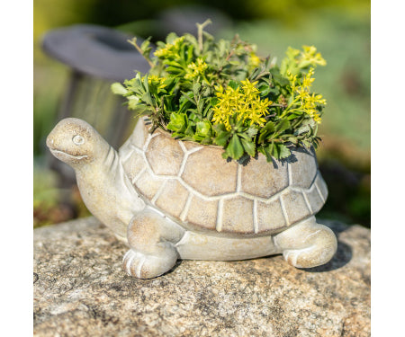 Turtle Planter