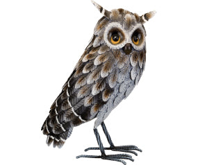 Grey Horned Standing Owl