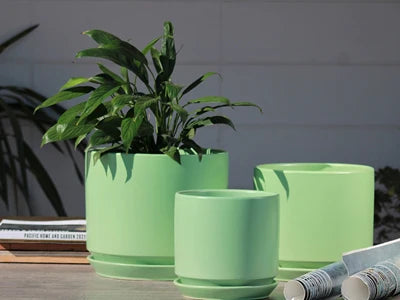 Tea Green Comet Planter