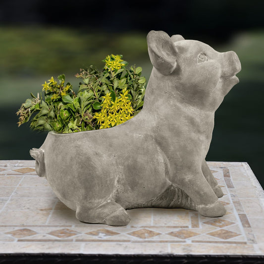 Pig Planter