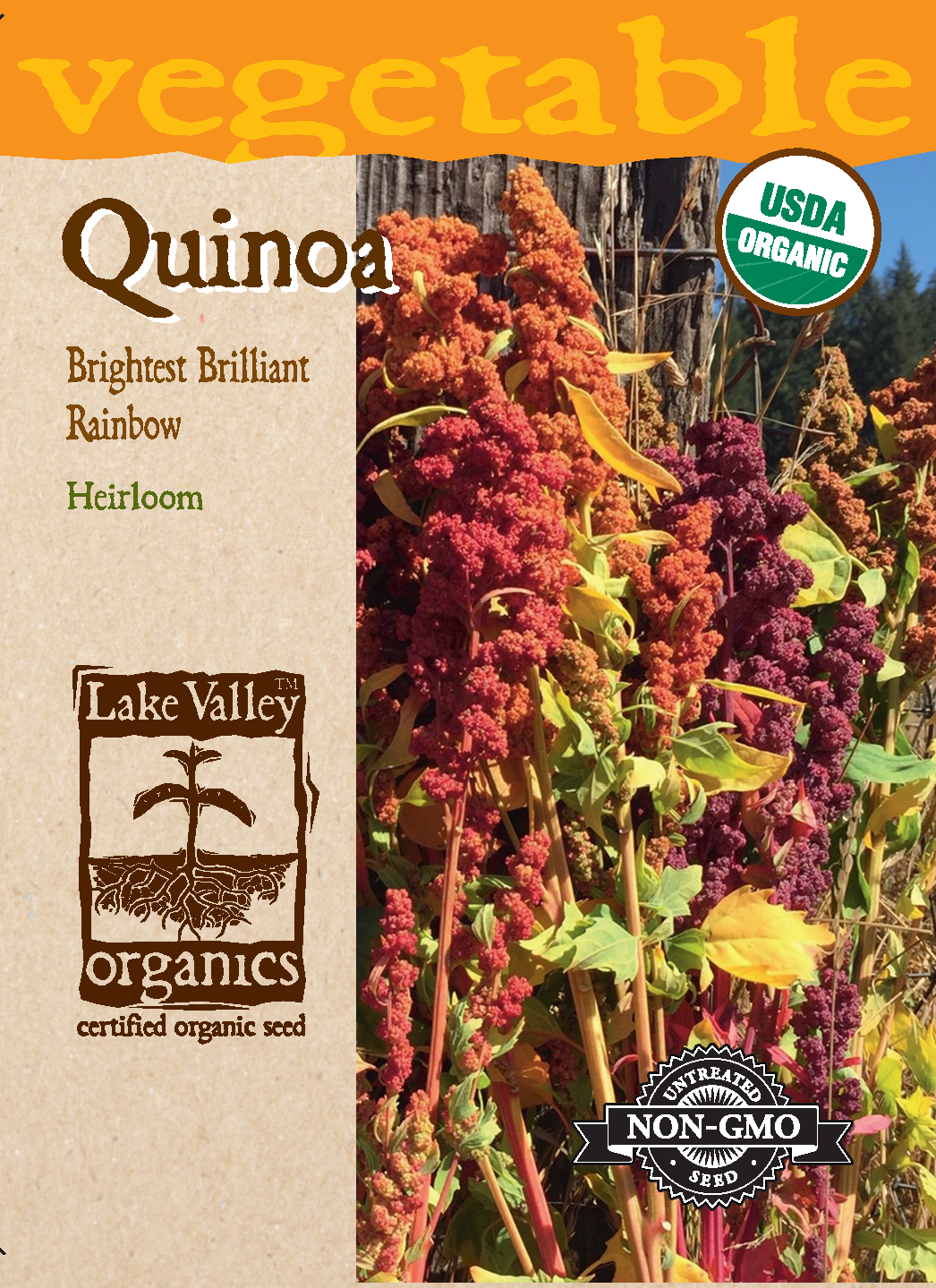 ORGANIC QUINOA BRIGHTEST BRILLIANT RAINBOW