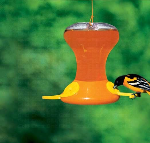 Fliteline Junior 30 oz. Oriole Feeder