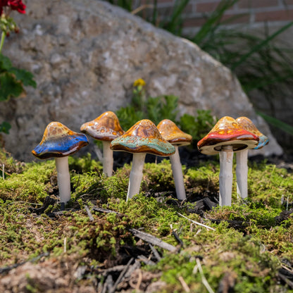 Natural Mushroom