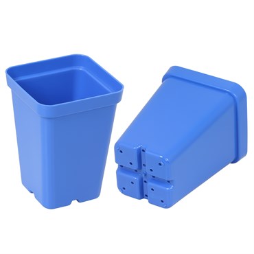 SUNPACK® 2.5" Square Pot